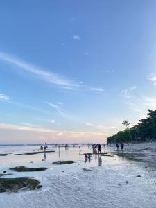 Natures Peace Transient house with bonfire