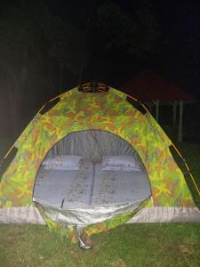 Rib Sweet Treetops Bed and Breakfast Tents 3 pax