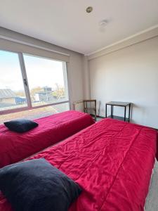 Apart Belleza del Beagle