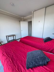 Apart Belleza del Beagle