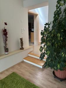 Traumhafte Gartenwohnung