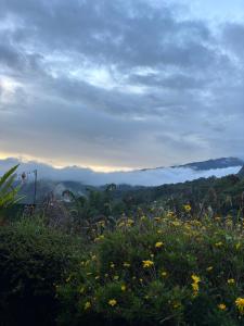 รักเขาอินทนนท์โฮมสเตย์ Doi inthanon Homestay