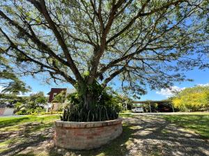 Casa Finca en La Unión Valle con piscina - Pompano