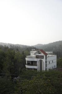 Forest View
