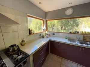 Ventanas al Nahuel Huapi