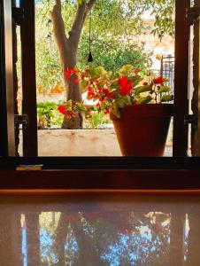 Armiriki Seafront House