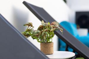 Casa Férias com Piscina Aquecida e Suítes Privadas