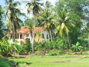 Luxury Cannelle lake villa