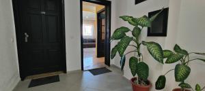 Romantic Getaway Fast Wi-Fi Near City Center