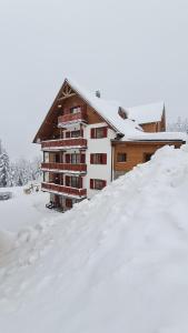 Luxury apartments Prežin