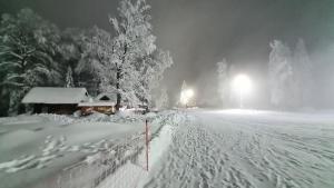 Luxury apartments Prežin