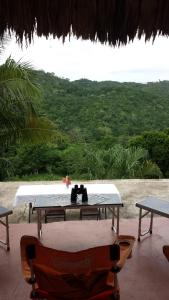 Mayan World Adventures