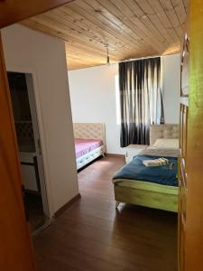 Rosi peak Guesthouse