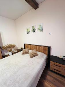 Квартира в центре! Книжный рынок!