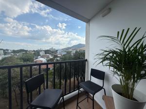 Flora travel house