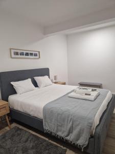 Cozy Dot Apartment