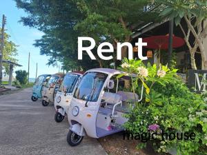 Magic House - No Pets Allowed