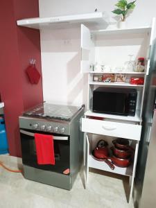 Departamento céntrico de estreno con cochera