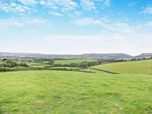 1 Bed in Betws Yn Rhos 95565