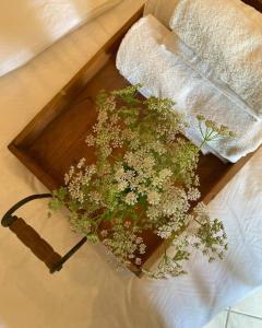 Auszeit Ferienhaus Nr 2a