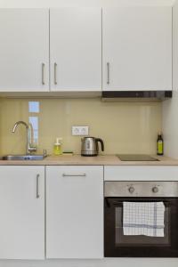 Grand Viennese Residence 2