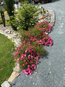 Domek na Skale - Apartament B ze strefą SPA