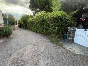 Carpediem corsica adult only