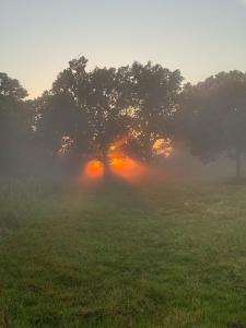 Charming apartment by forest & beach on Tåsinge