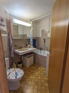 Apartment Above the Rooftops - Mountain Panorama