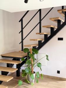 Podwika Resort Zagórzany