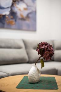 Central Tirana Apartment with Skanderbeg Square View