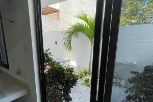 Lavish Studio wPatio #1 Isla Mujeres Downtown