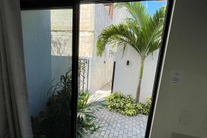 Lavish Studio wPatio #2 Isla Mujeres Downtown