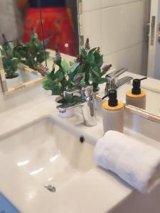 1809, Amplio departamento para 2