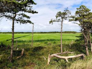 Luxury Retreat in Romo - By Traum Ferienwohnungen