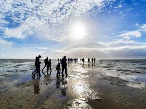 12 person holiday home in Fanø-By Traum