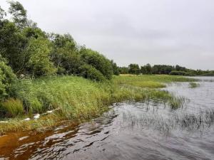 10 person holiday home in Ansager