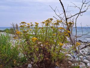 10 person holiday home in Haderslev-By Traum