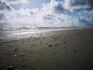 6 person holiday home in Blåvand