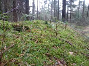 Luxury Retreat with Pool - By Traum Ferienwohnungen