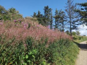 6 person holiday home in Hjørring