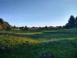 6 person holiday home in Hjørring