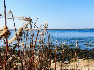 4 person holiday home in Millinge-By Traum