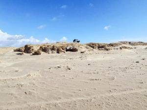 4 person holiday home in Fanø-By Traum