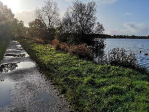 12 person holiday home in Ansager-By Traum