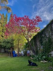 Hostel con habitación compartida