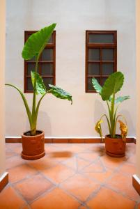 DH7 Amazing 2beds full Apt in Zocalo Best location