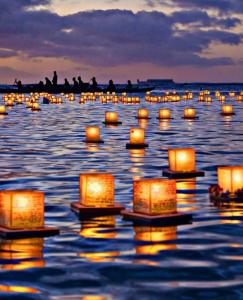 PR54 Winter Tokyo Shinjuku Xmas Lights New Year Shrine