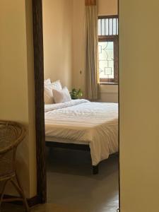 Backyard Bed & Kitchen