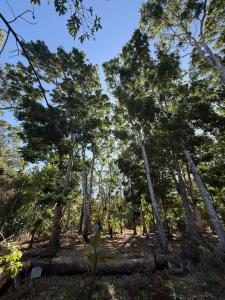 Lake Front Yala Safari